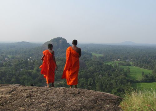 DMC in Sri Lanka