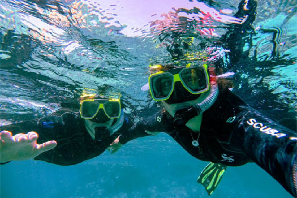 Snorkeling the SS Antilla Shipwreck Aruba