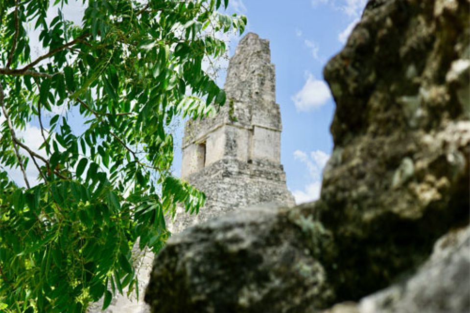 Jungle Trek to the Ruins of Tikal