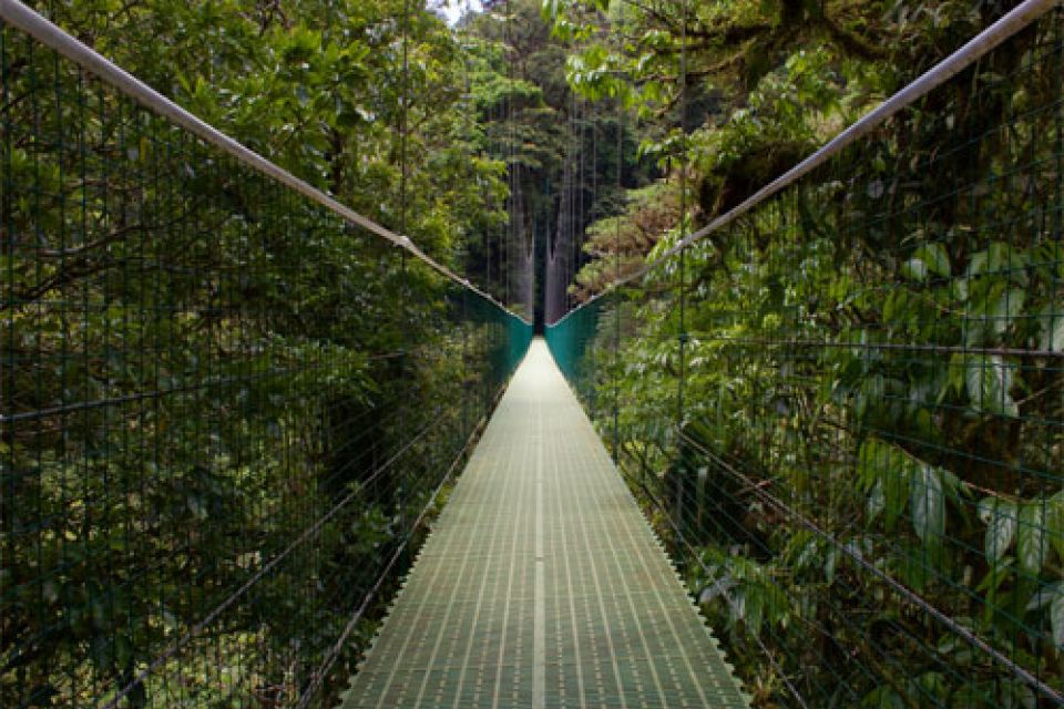 Monteverde Cloud Forest Reserve Adventure