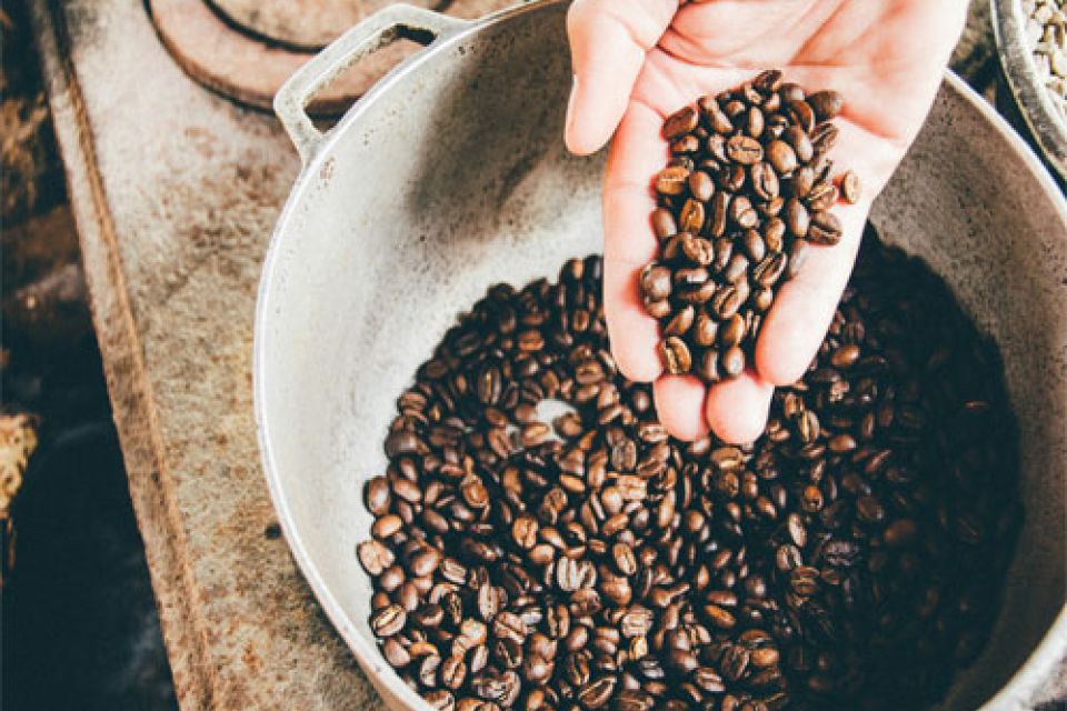 Brew Up Some Fun: Coffee Tasting Adventure