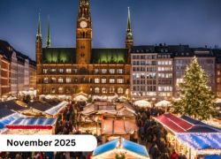 Hamburg Christmas Market 2025