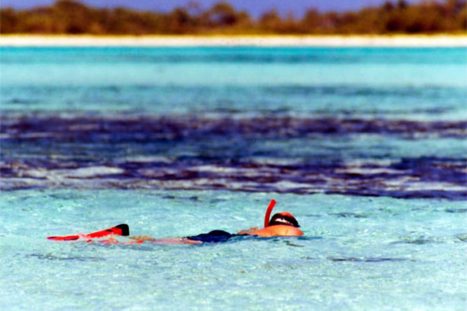 Discover the Unspoiled Beauty of Los Roques