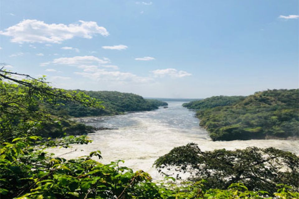 Wildlife Safari in Murchison Falls