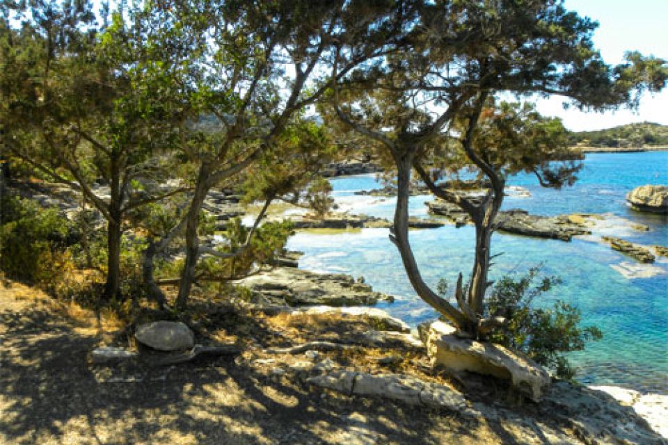 Experience the Akamas Peninsula Cyprus 