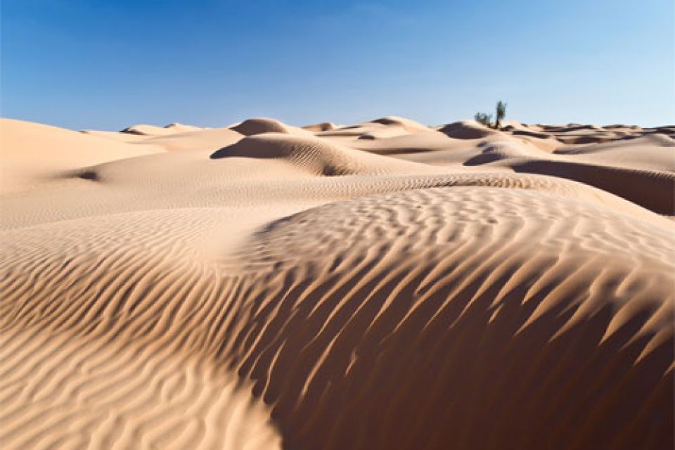 Experience the Sahara Desert Tunisia